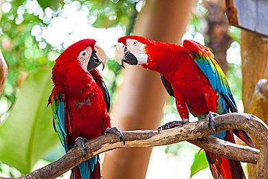 恐怖冒险游戏《坟墓高中》10月20日发售 暂不支持中文